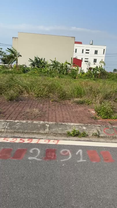 Đất nền 90m² KDC Mới Tiên Tiến, Phù Cừ, Hưng Yên - Sổ đỏ sẵn, giá 1.9 tỷ