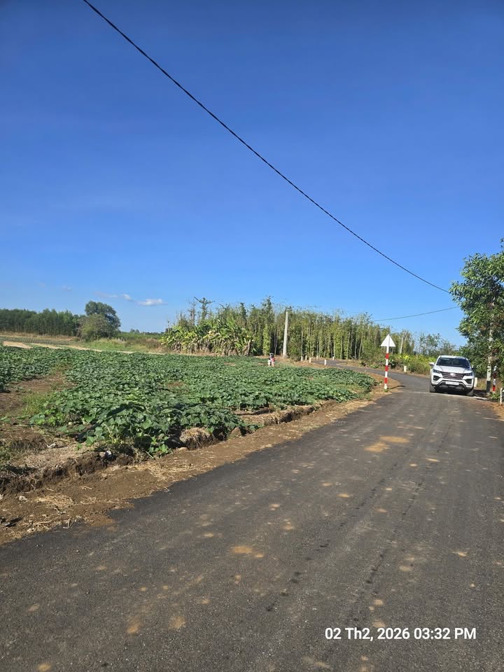 Đất nền Bình Trung Châu Đức 1.033m² 1.45 tỷ - Tiềm năng tăng giá