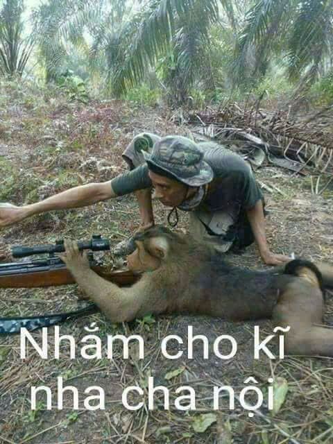 Bán Đất KCN Tân Uyên 37.000m² - Lô Góc 2 Mặt Tiền Đường Nhựa