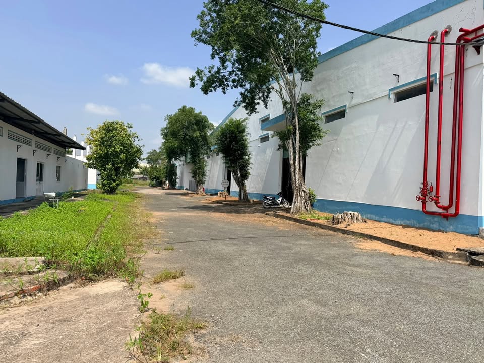 Cho thuê kho xưởng KCN Hoà Phú, Vĩnh Long - 1.900m² - 15.000m²