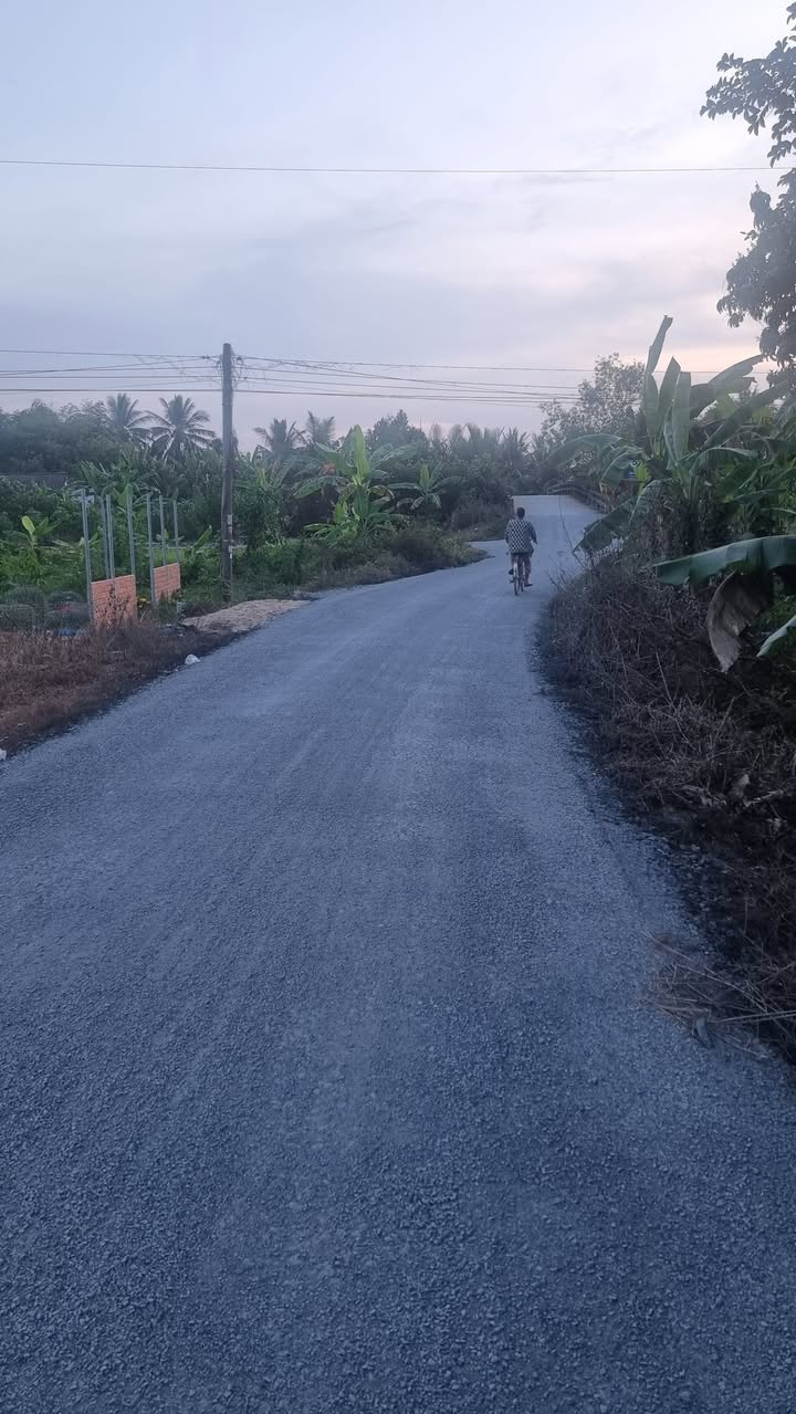 Đất Nền Vĩnh Long 120m² Giá 219 Triệu - Mặt Tiền Lộ Nhựa Tại Tam Bình