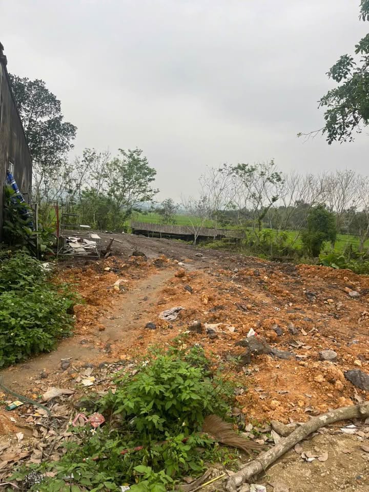 Đất Nền Phúc Đồng, Hà Tĩnh - 264m² Ngay Ngã 3 HCM - Sổ Đỏ Sẵn Sàng