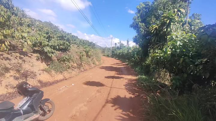 Farm Xã Liên Đầm Di Linh 3,3ha - Sổ đỏ chính chủ