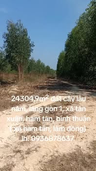 Farm Tân Xuân Hàm Tân 24.305m² - Sổ đỏ chính chủ gần QL55