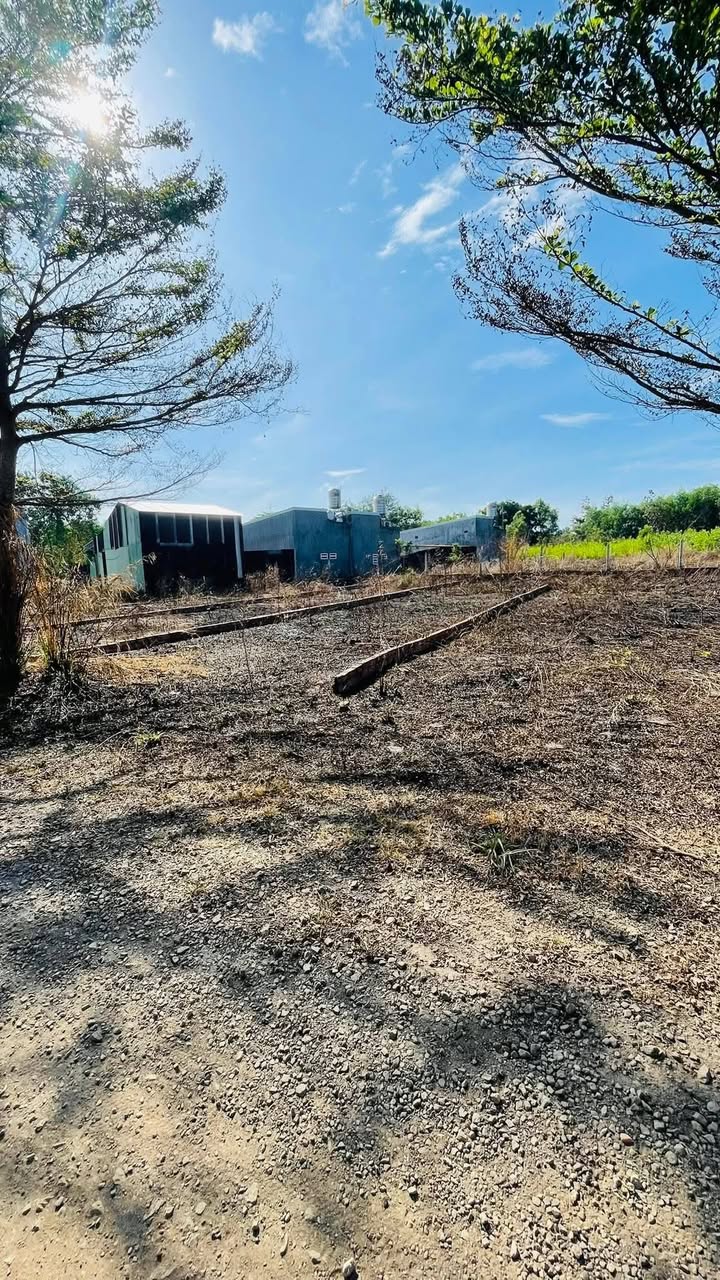 Đất nền Bàu Hàm Trảng Bom 115m² 670 triệu - Tiềm năng tăng giá