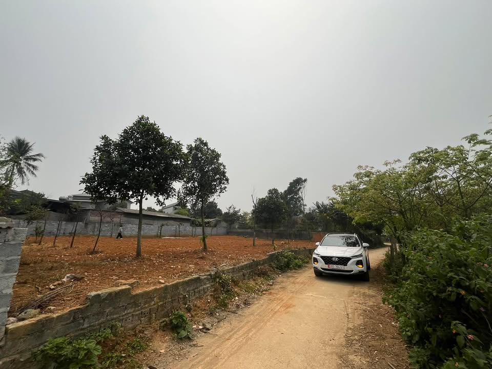 Đất Yên Bài Ba Vì 725m² giá thỏa thuận - Sổ đỏ chính chủ