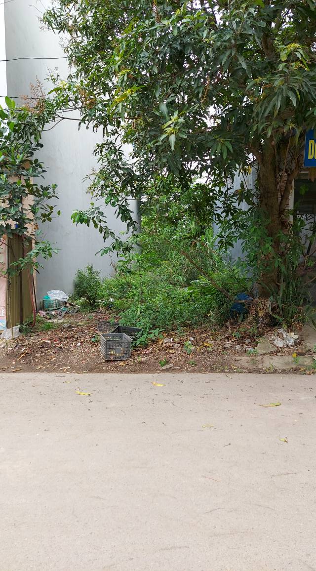 Bán Đất Vàng Phường Thịnh Đán, Thái Nguyên 100m² - Vị Trí Đắc Địa