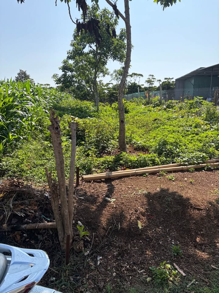 Đất nền Thôn 11 Lộc Ngãi 150m² 699 triệu - Sổ đỏ chính chủ