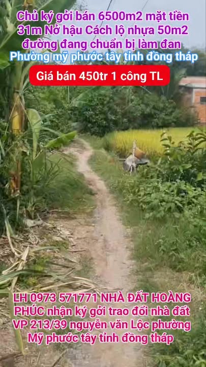 Đất Vườn 6500m² Mỹ Hạnh Trung, Tiền Giang - Giá Đầu Tư 2.9 Tỷ