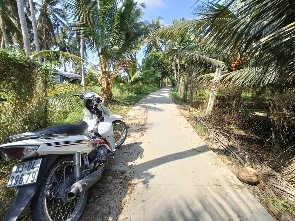 Bán 3700m² Đất Vườn Tiền Giang - Giá Tốt, Sẵn Ở & Nghỉ Dưỡng