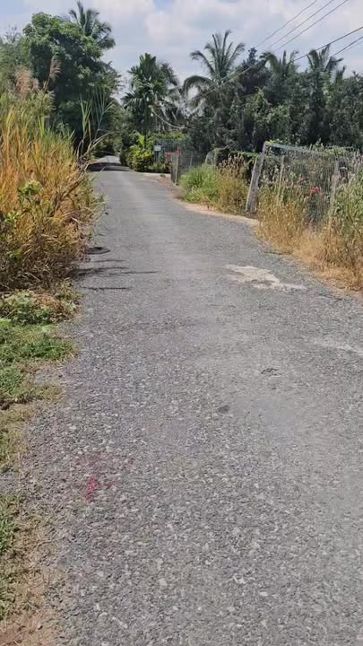 Bán Đất Mỹ Hạnh Trung Cai Lậy 189m² - Mặt Tiền Đường Nhựa, Giá 480 Triệu