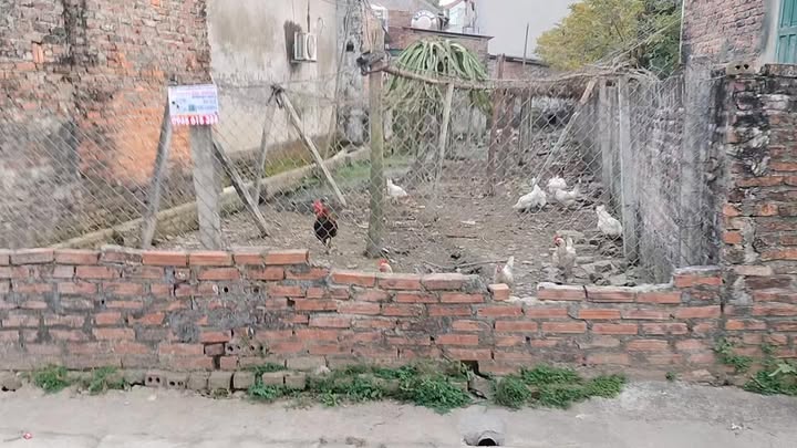 Đất Mê Linh 100m² - Sổ Đỏ Rõ Ràng, Giá Chỉ 3 Tỷ