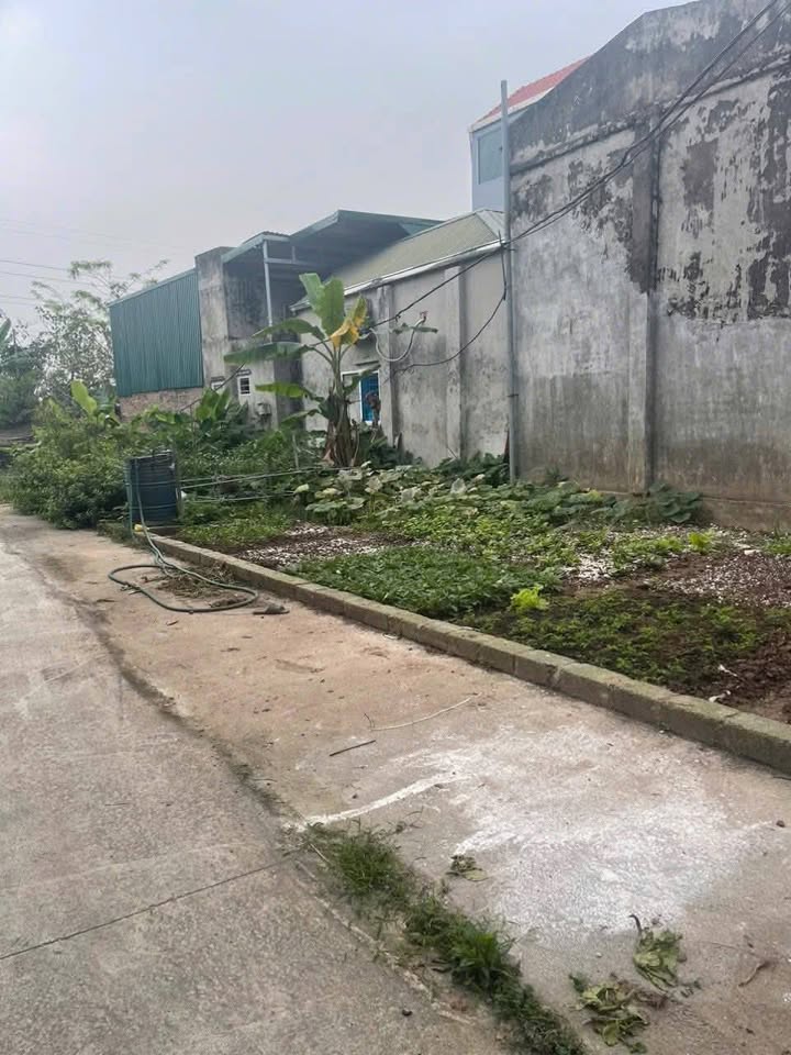 Đất Thường Tín 87.4m² - Sổ Đỏ Sẵn Sàng, Gần Himlam