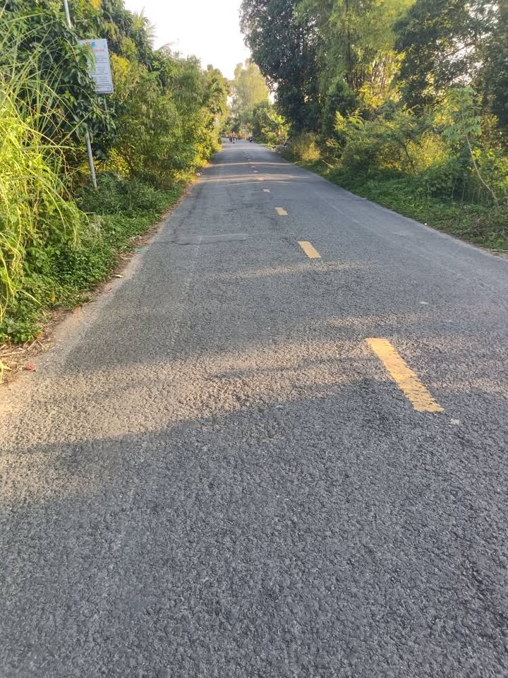 Đất Vườn Mít 6200m² Mặt Tiền Đường Nhựa Lớn - Đồng Tháp