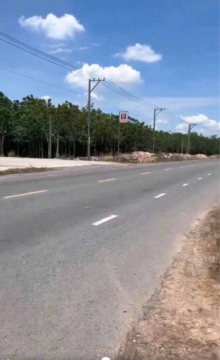 Bán Đất Nền Mặt Tiền ĐT793 Tân Biên, Tây Ninh - Sổ Đỏ Sẵn Sàng