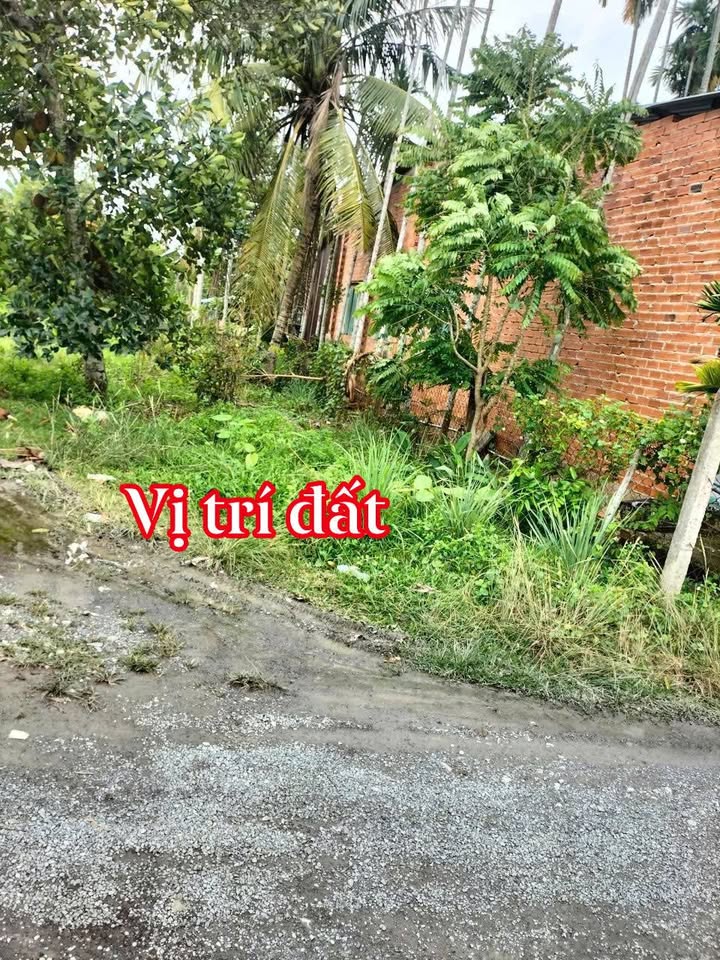 Đất Nền 800 Triệu - Phước Đông, Gò Dầu, Tây Ninh - Sổ Hồng Sẵn Sàng