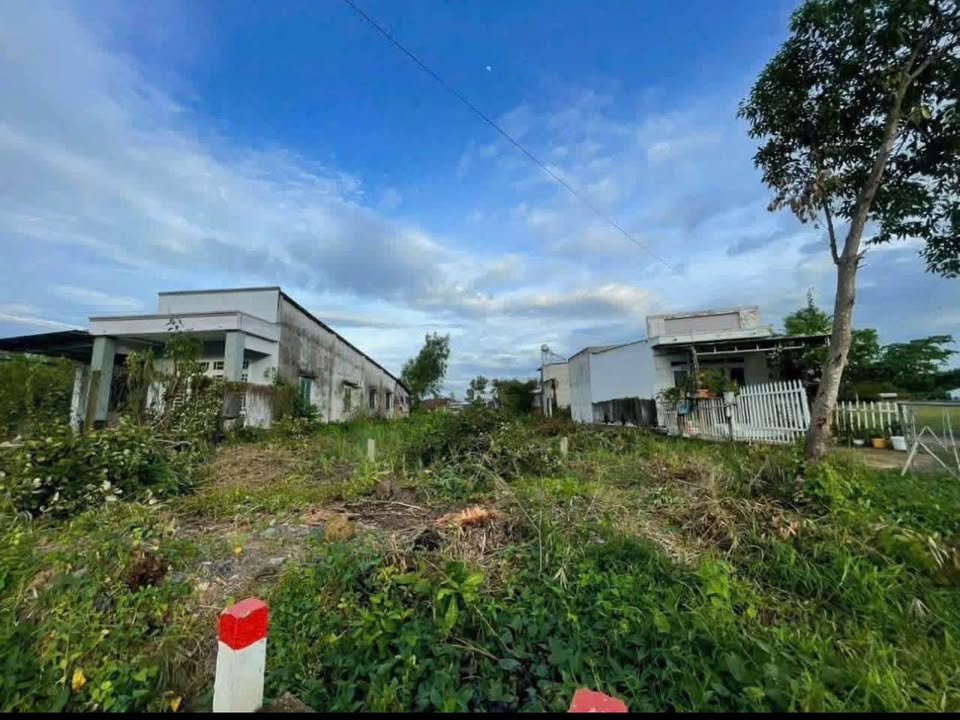 Đất nền Châu Thành, Tây Ninh 300m² - Sổ hồng sẵn, xây nhà tự do!