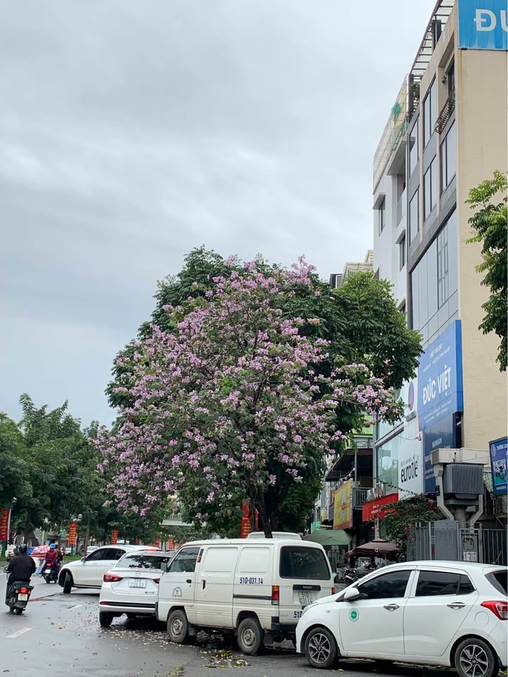 Bán nhà khu phân lô Thiên Hiền, Nam Từ Liêm - 57m², 2 mặt thoáng, ô tô tránh