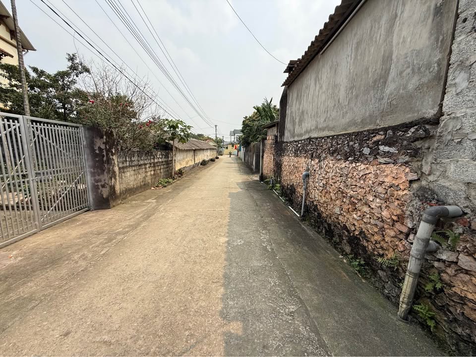 Đất Vườn 900m² Lương Sơn, Hòa Bình - Sẵn Sổ, Giá Đầu Tư