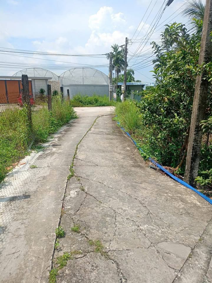 Đất Đinh Thiếu Sơn Tân An 280m² 2 tỷ - Sổ đỏ chính chủ