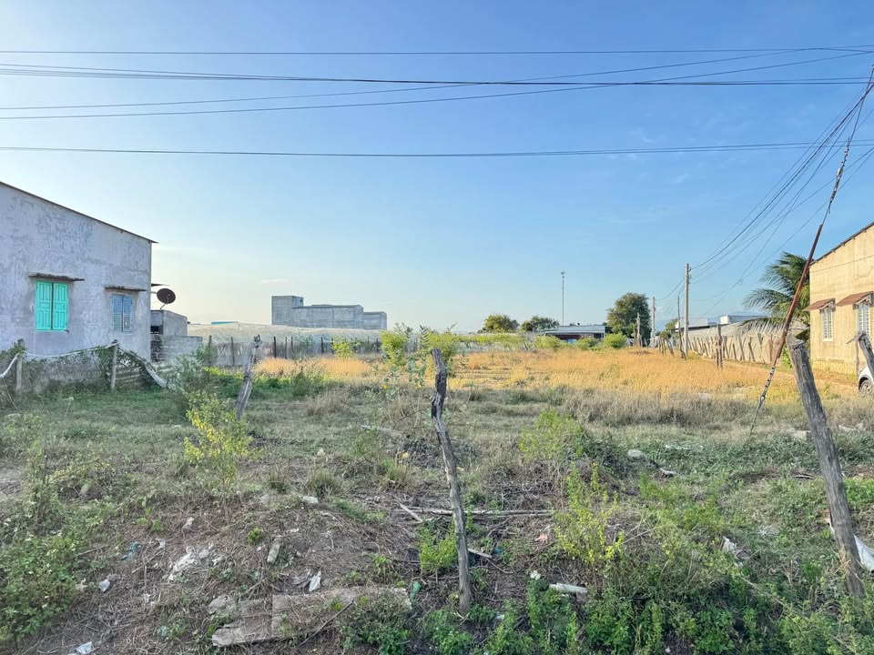 Đất Vườn Ninh Thuận 800m² - Đầu Tư Phân Lô Ven Trung Tâm Phước Dân