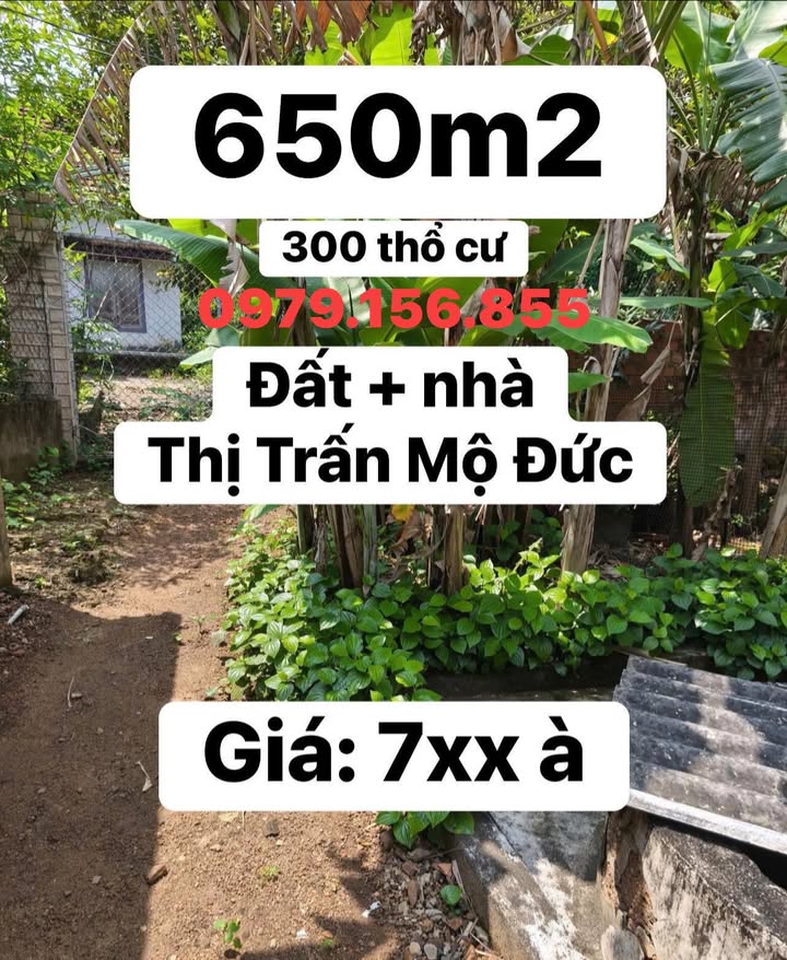 Đất Thị trấn Mộ Đức 650m² - Tặng nhà, chỉ 7xx Triệu - Đầu tư ngay!