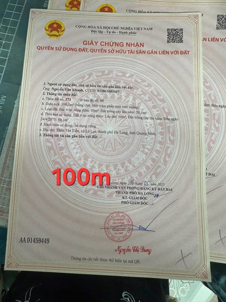 Đất nền 100m² - Ngõ thông ô tô, Tân An, Quảng Yên - Giá 7xx Triệu