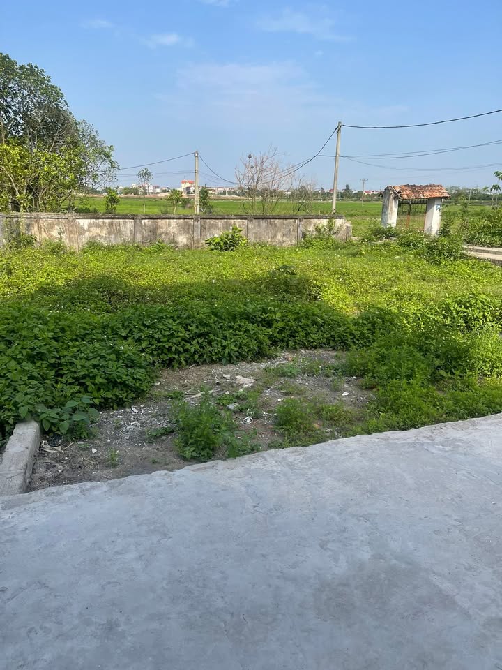 Đất nền Phú Xuyên 88m² giá hơn 2 tỷ - Tiềm năng tăng giá