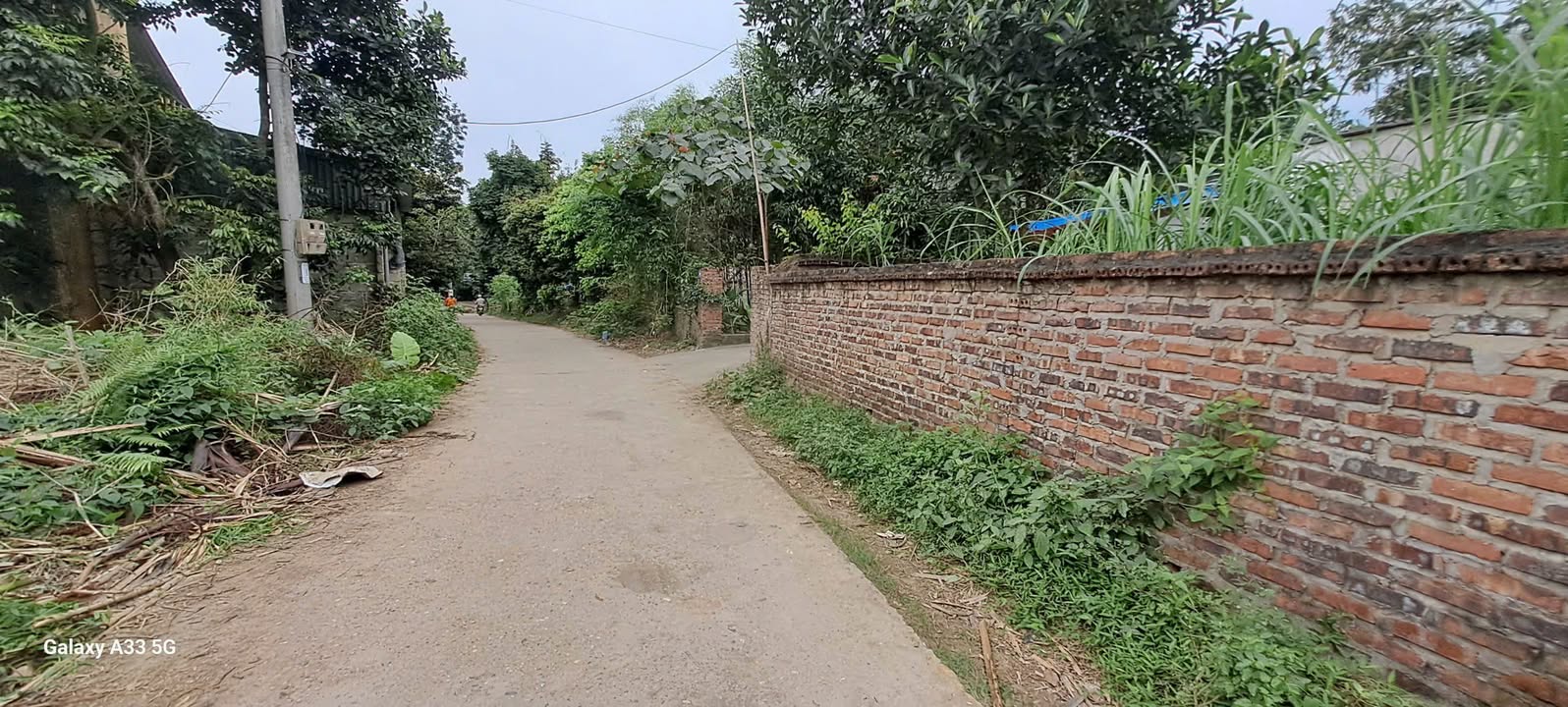 Bán Đất TDP Cổ Ngựa, An Tường, Tuyên Quang - 209m² - Sổ Đỏ Vuông Vắn, Giá Tốt