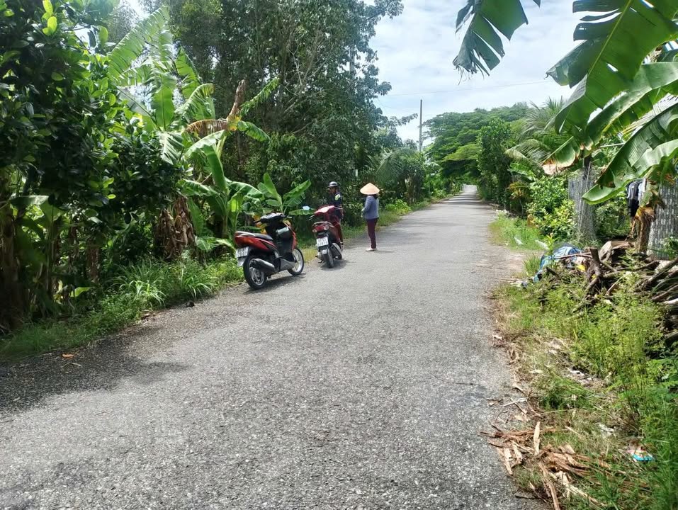 Đất nền Trường Long 2491m² 3.114 tỷ - Sổ đỏ chính chủ