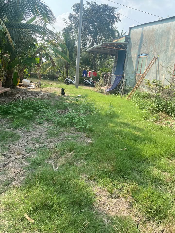 Đất nền Đường 919 Vĩnh Thạnh 14.117m² - Đường ô tô vào được