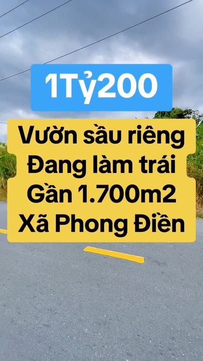Đất Vườn Sầu Riêng 1700m² Phong Điền Cần Thơ - Giá 1.2 Tỷ