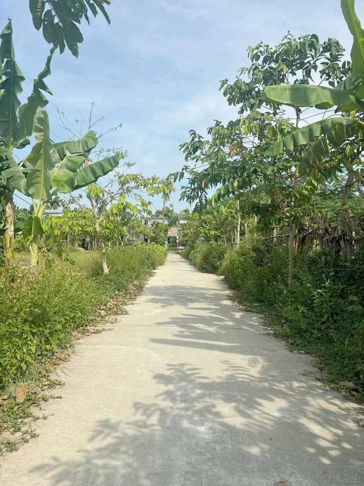 Bán Đất Điện Phước 150m² Giá Chỉ 6xx Triệu - Sổ Đỏ Rõ Ràng