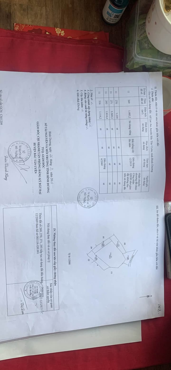 Farm 20.000m² Bình Dương - Vườn Cây Ăn Trái Thu Về 600 Triệu/Năm