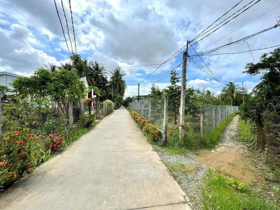 Đất Thổ Cư Kim Sơn, Tiền Giang - 175m² Sổ Sẵn, Chỉ 330 Triệu