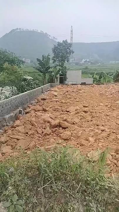 Đất nền Mỹ Sơn QL533 155m² 700 triệu - Sổ đỏ chính chủ