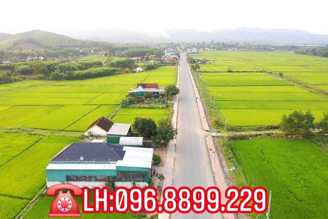 Đất nền 200m² Mặt tiền Đường Huyện, Yên Thành - Giá từ 1 tỷ