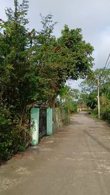 Đất nền Hòa Xuân Đà Nẵng 206m² - Sổ đỏ sẵn, giá 2.52 tỷ