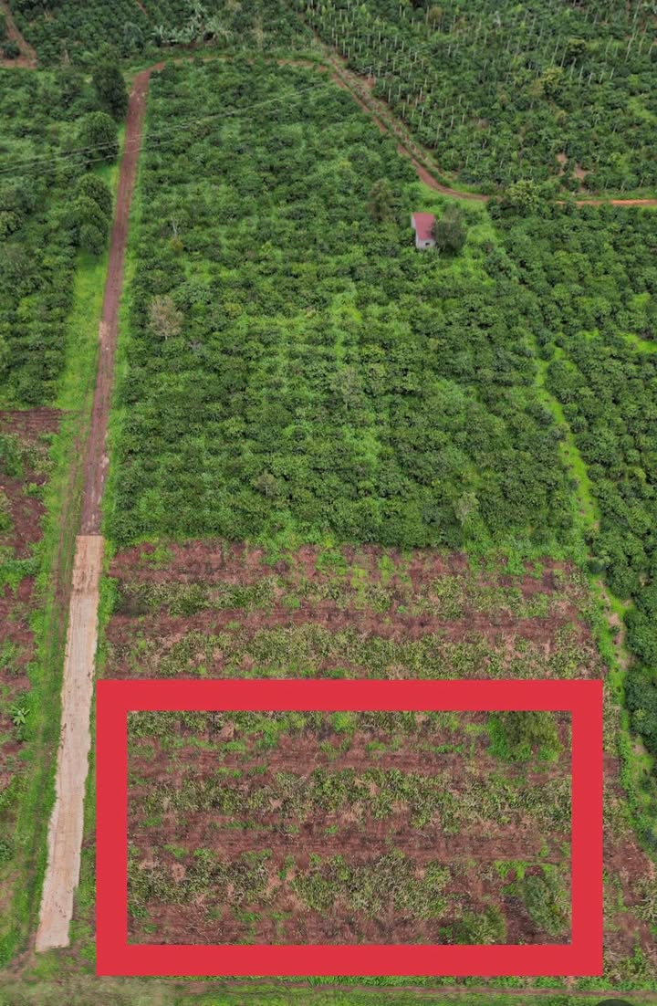 Đất Pleiku 720m² 400 triệu/bìa - Sổ đỏ chính chủ