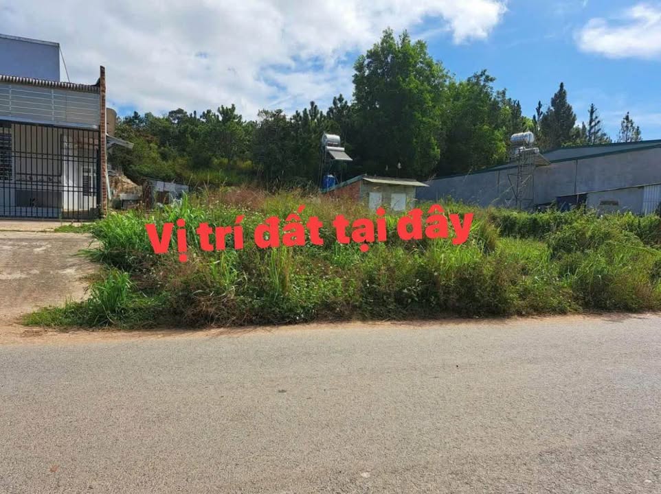 Đất nền DH11 Đà Lạt 278m² 1.2 tỷ - Sổ đỏ chính chủ