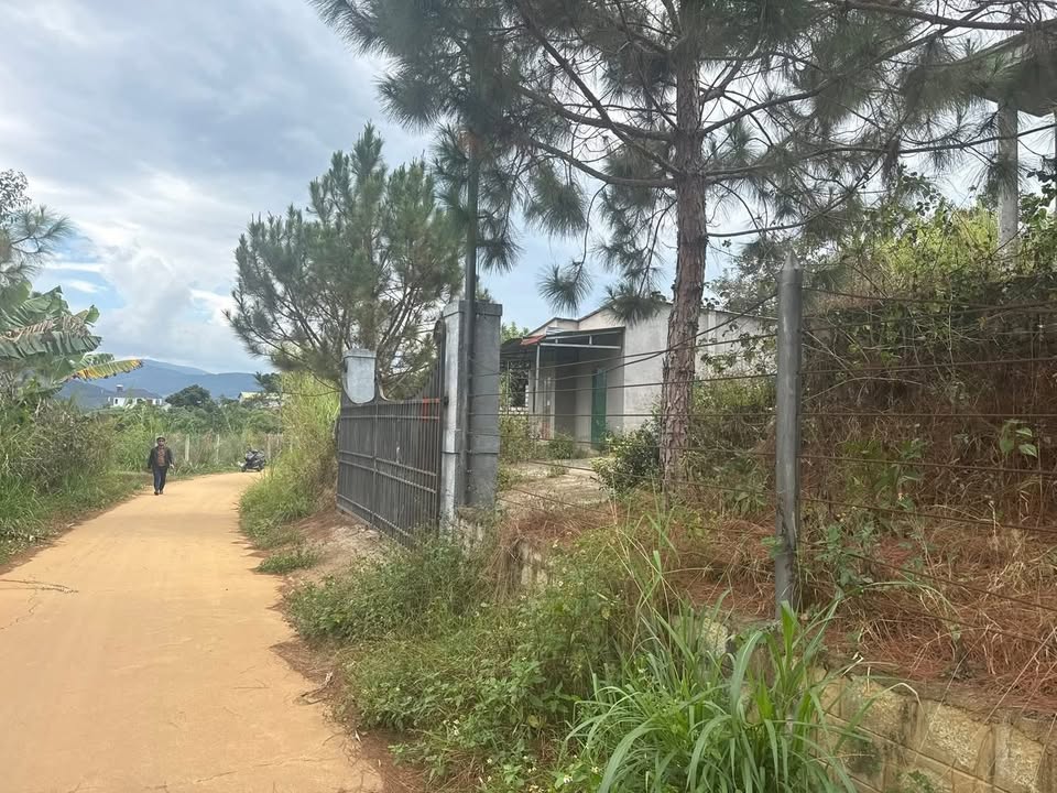 Đất Vàng Lâm Hà 500m² - Mặt Tiền 25m, Gần Chợ, Sổ Đỏ Riêng