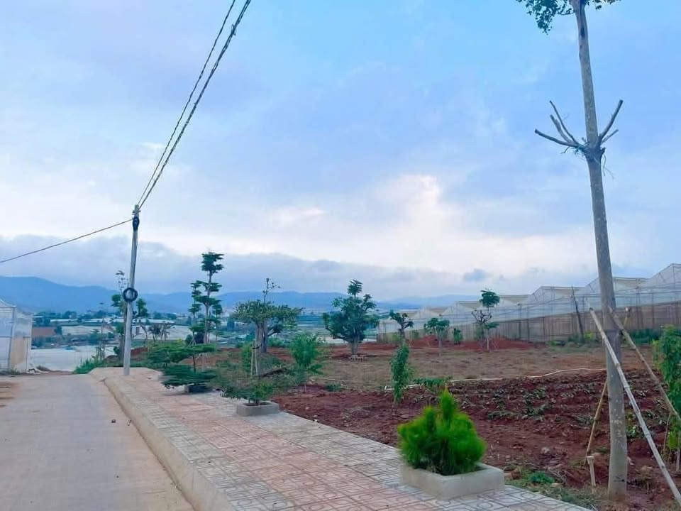 Đất Chính Chủ Xã Ka Đô, Đơn Dương - 175m² Sẵn Sổ, Giá 570 Triệu