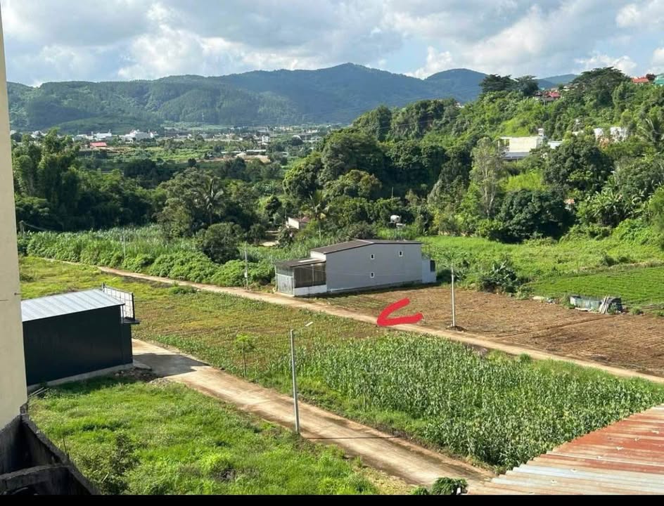 Đất Nền Hẻm Cao Bá Quát, Đức Trọng 117m² - Sổ Sẵn Sàng Giao Dịch