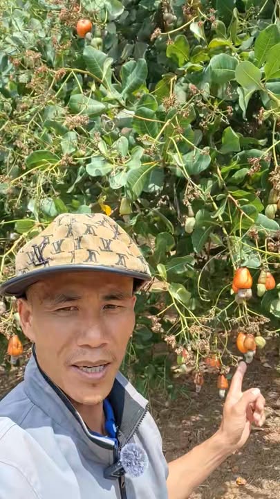 Farm 1.5ha ôm thác, đường ô tô tại Vân Canh, Bình Định - Sẵn sổ