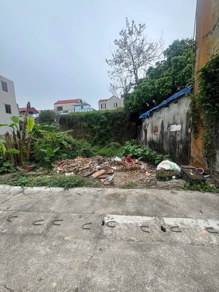 Bán Đất Vàng Liên Xá, Quất Động 46m² - Sổ Đỏ Vuông Vắn, Giá Hời 3 Tỷ