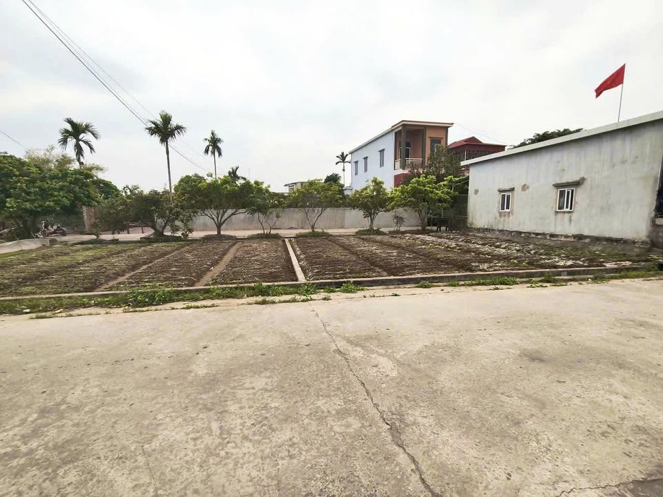 Đất nền Đông Hoàng Tiền Hải 99m² 900 triệu - Sổ đỏ chính chủ