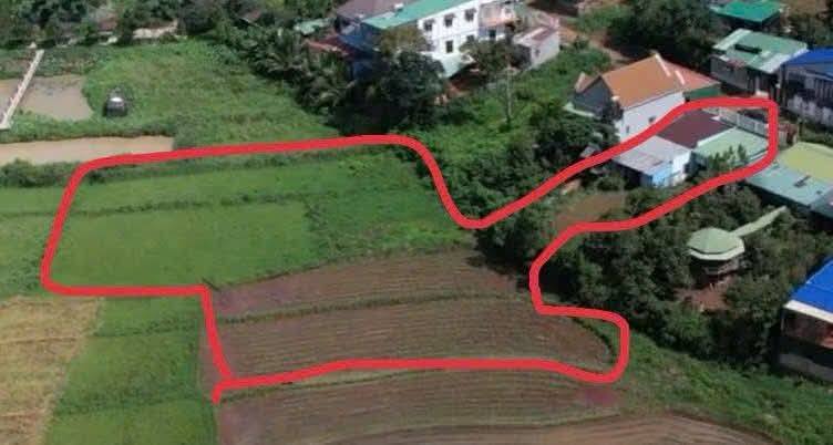 Đất nền Thị trấn Di Linh 720m² giá thỏa thuận - Sổ đỏ chính chủ