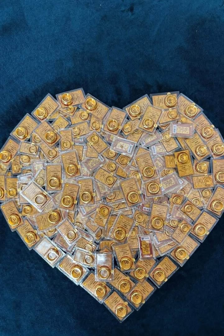 Bán Đất Biệt Thự MT Thái Văn Lung, Vũng Tàu - 253.7m² Thổ Cư, Giá 18.5 Tỷ