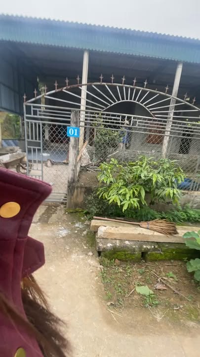 Đất nền Sơn Hồng 300m² 6xx triệu - Sổ đỏ chính chủ