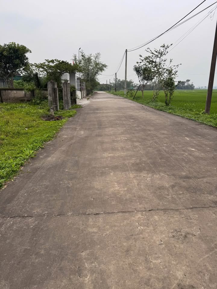 Bán đất Thạch Hà, Hà Tĩnh - 126m² gần 19/8, giá từ 9xx triệu